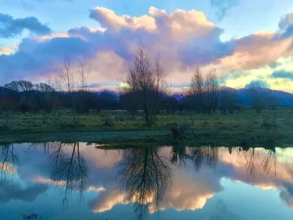 Walking Each Other Home