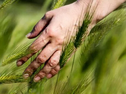 Walking For Presence And Peace