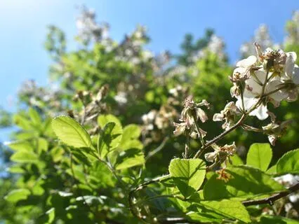 Walking In Safety & Connection: Feeling Supported On Earth