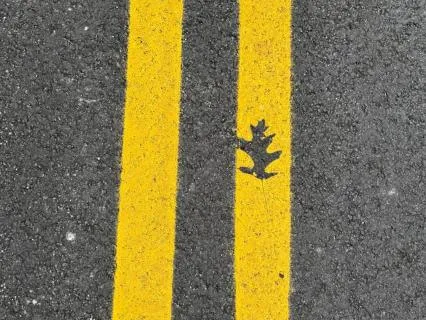 Walking In The Center Of The Road