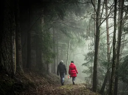 Walking In The Night Forest (Live Improvised Loop Session)