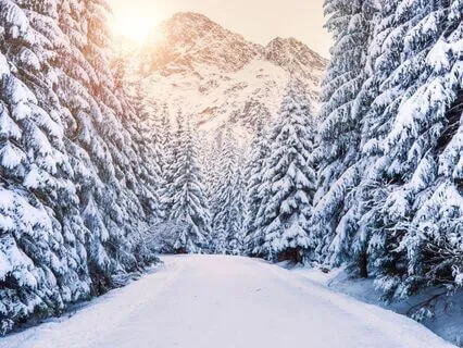 Walking In The Winter Wonderland Ambiance