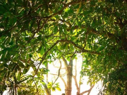 Walking Into Confidence