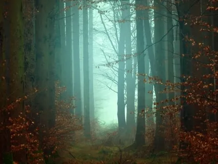 Walking Into Slumber And Silence