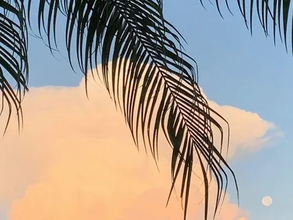 Walking Labyrinth Meditation