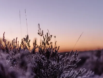 Walking Meditation | 10-Minute Meditation