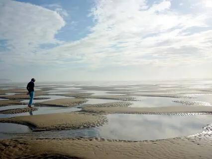 Connect To The Act Of Walking