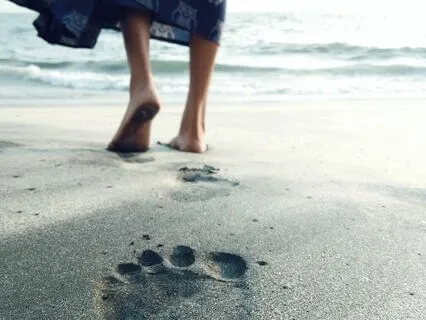 Walking Meditation - "As If Lit From Within"