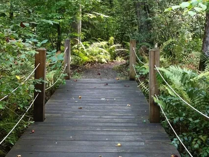 Walking Meditation: Build Neural Networks To Be Present Life