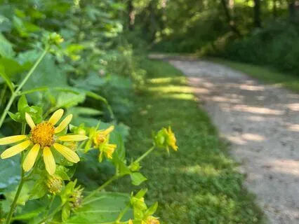 Walking Meditation: Christian Parts-Work To Find A Part