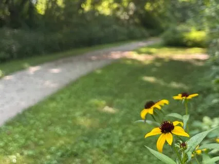 Walking Meditation: Christian Parts-Work When You're Stuck