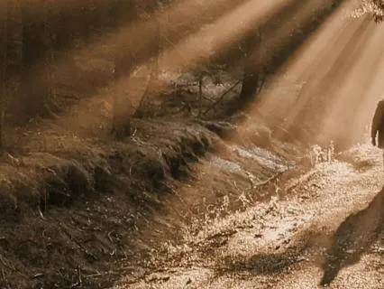 Walking Meditation: Connect With The Earth
