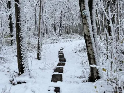 Walking Meditation For Anxiety & Panic | Reset And Ground