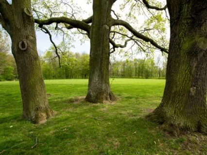 Walking Meditation For Empowering Mind & Body