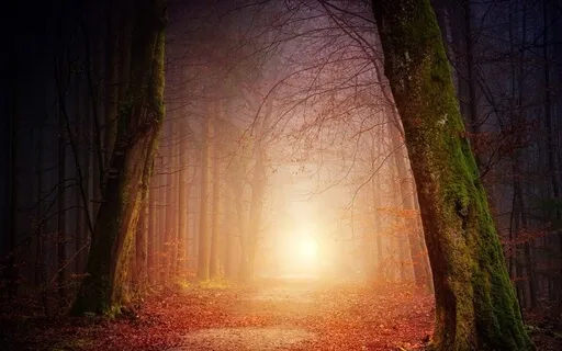 Walking Meditation For Grounding & Presence