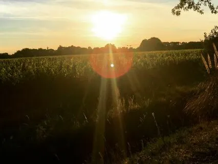 Walking Meditation For Grounding And Rooting