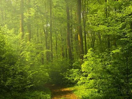 Walking Meditation For Greater Flow And Continuity