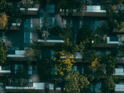 Walking Meditation For New Beginnings