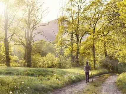 Walking Meditation For Presence And Connection