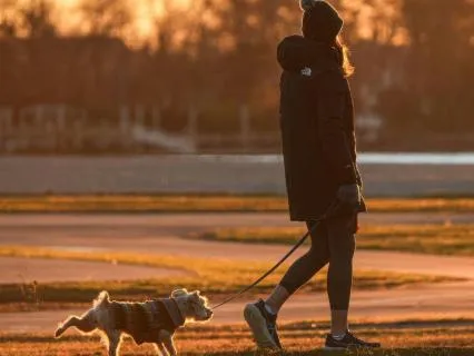 Walking Meditation For Softening Into The Evening