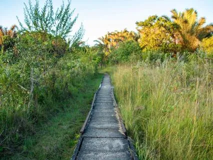 Walking Meditation For Stress Release