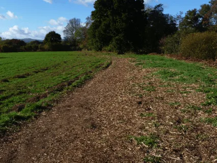 Walking Meditation (Longer)