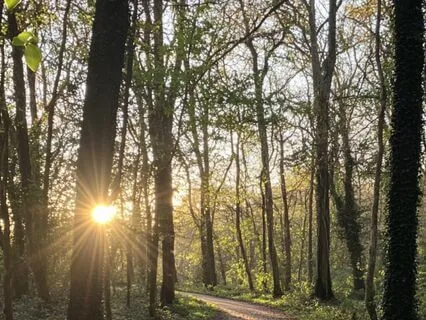Walking Meditation / Mindful Walk To Raise Your Vibration