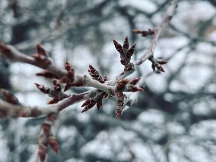 Walking Meditation: Moving With Grief