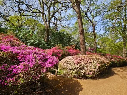 Walking Meditation: Pause, Refresh, & Reset