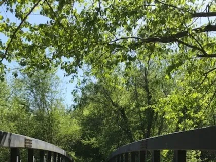 Walking Meditation Practice To Ground And Reconnect