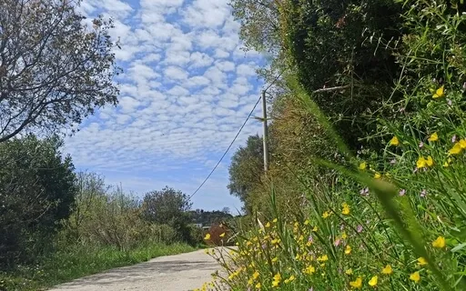 Walking Meditation Practice