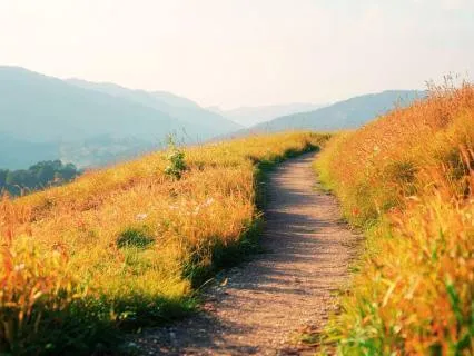 Walking Meditation Series: Temperature & Elements (3 Of 4)