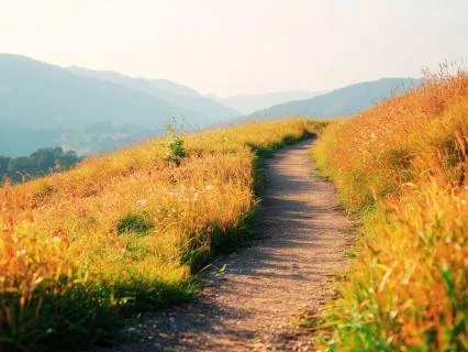 Walking Meditation Series: The Earth Beneath You (2 Of 4)