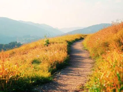 Walking Meditation Series: The Hidden Layers (4 Of 4)