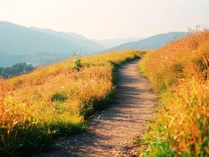 Walking Meditation Series: The World Around You (1 Of 4)