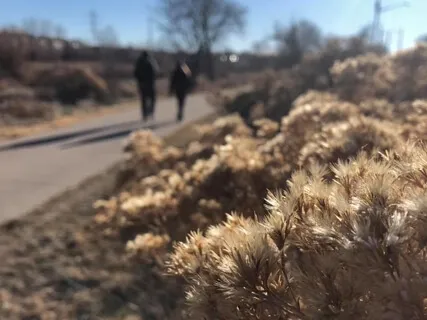 Walking Meditation: Side By Side