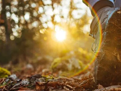 Manifestation Meditation - A New Reality