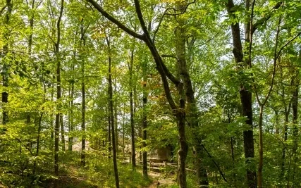 Walking Meditation To Leave Worries Behind