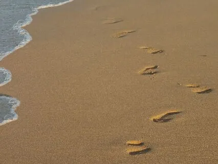 Connect To The Present Moment Through Walking