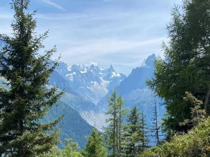 Walking Meditation