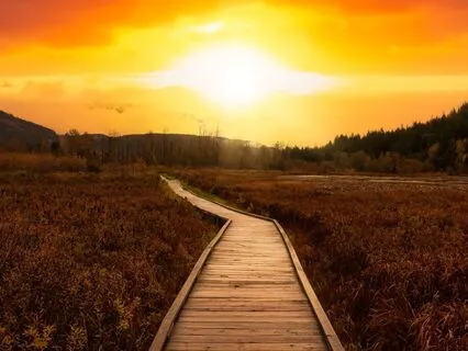 Walking Out Of The System: A Field Manual