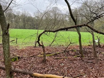 Walking Rest Meditation