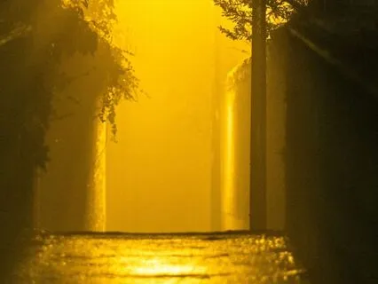 Walking The Golden Bridge