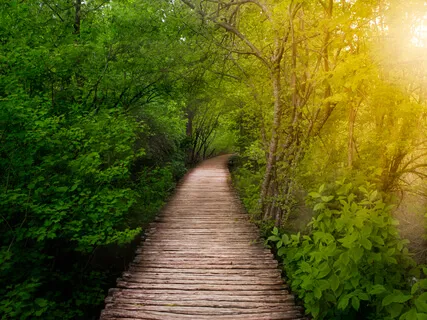 Walking The New Age: Intuitive Path To Enlightenment