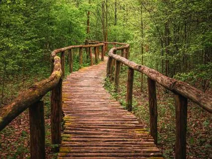 Walking The Path Of Peace ( Piano&Strings)