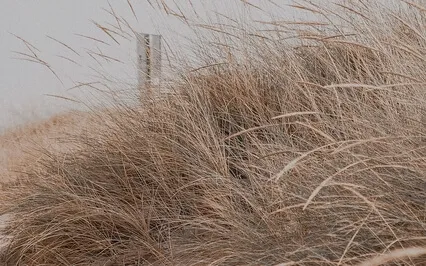 Walking Towards Clarity