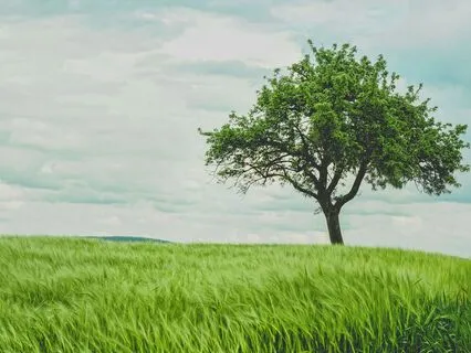 Walking With A Grateful Heart