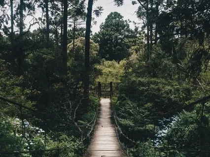 Walking With Awareness