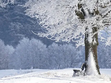 Walking With Death: A Contemplation On Impermanence