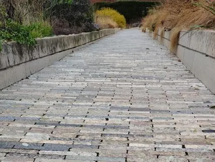 Walking With Spontaneity - Auto-Walk